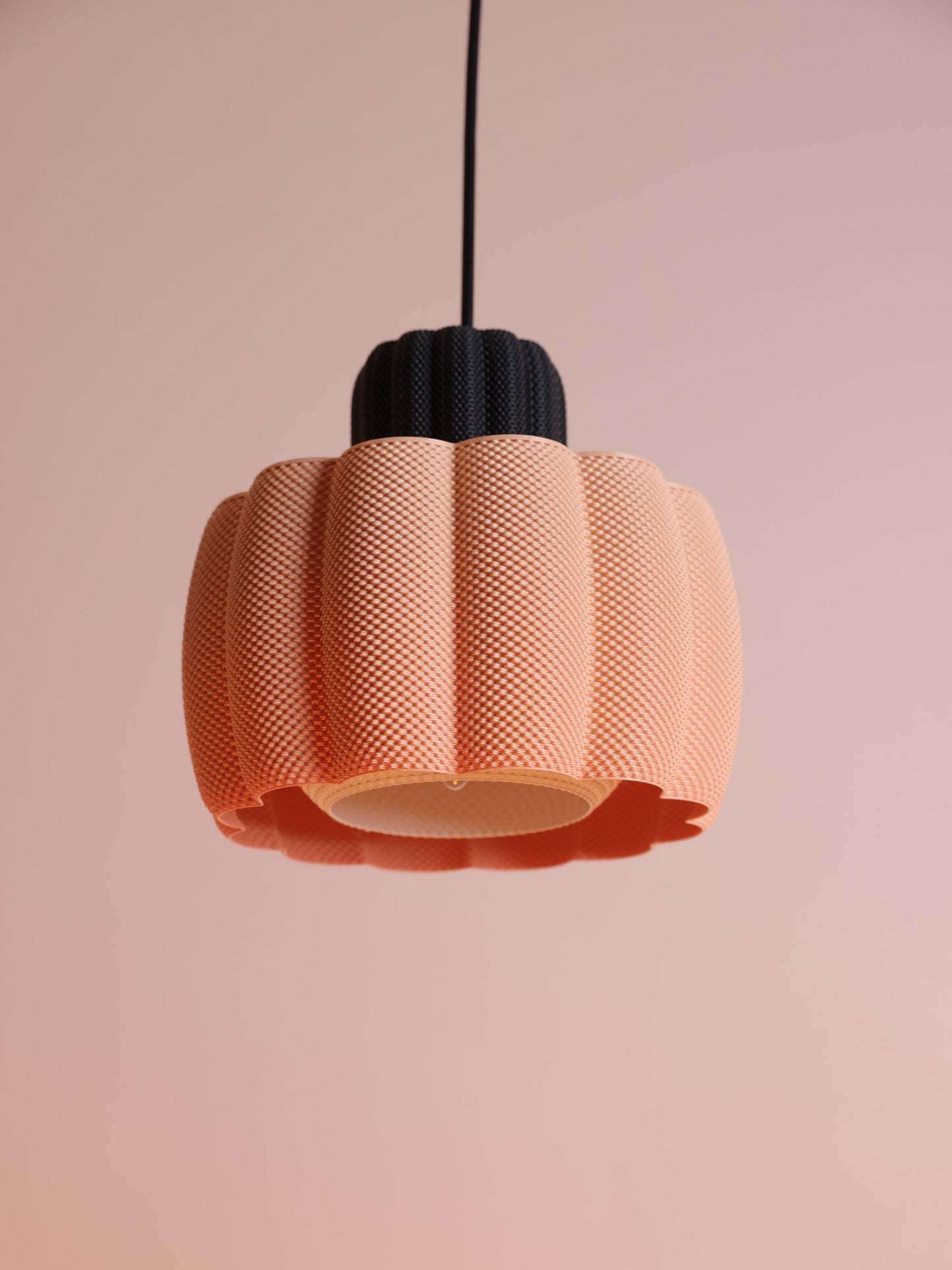 Ara Black/Apricot & White