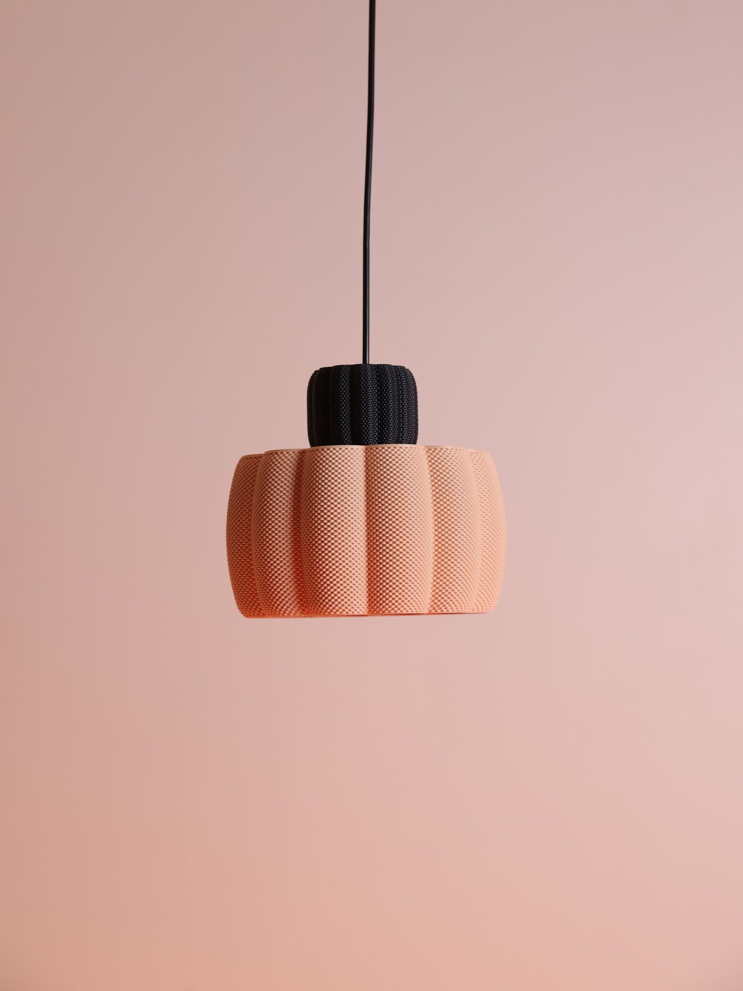 Ara Black/Apricot & White