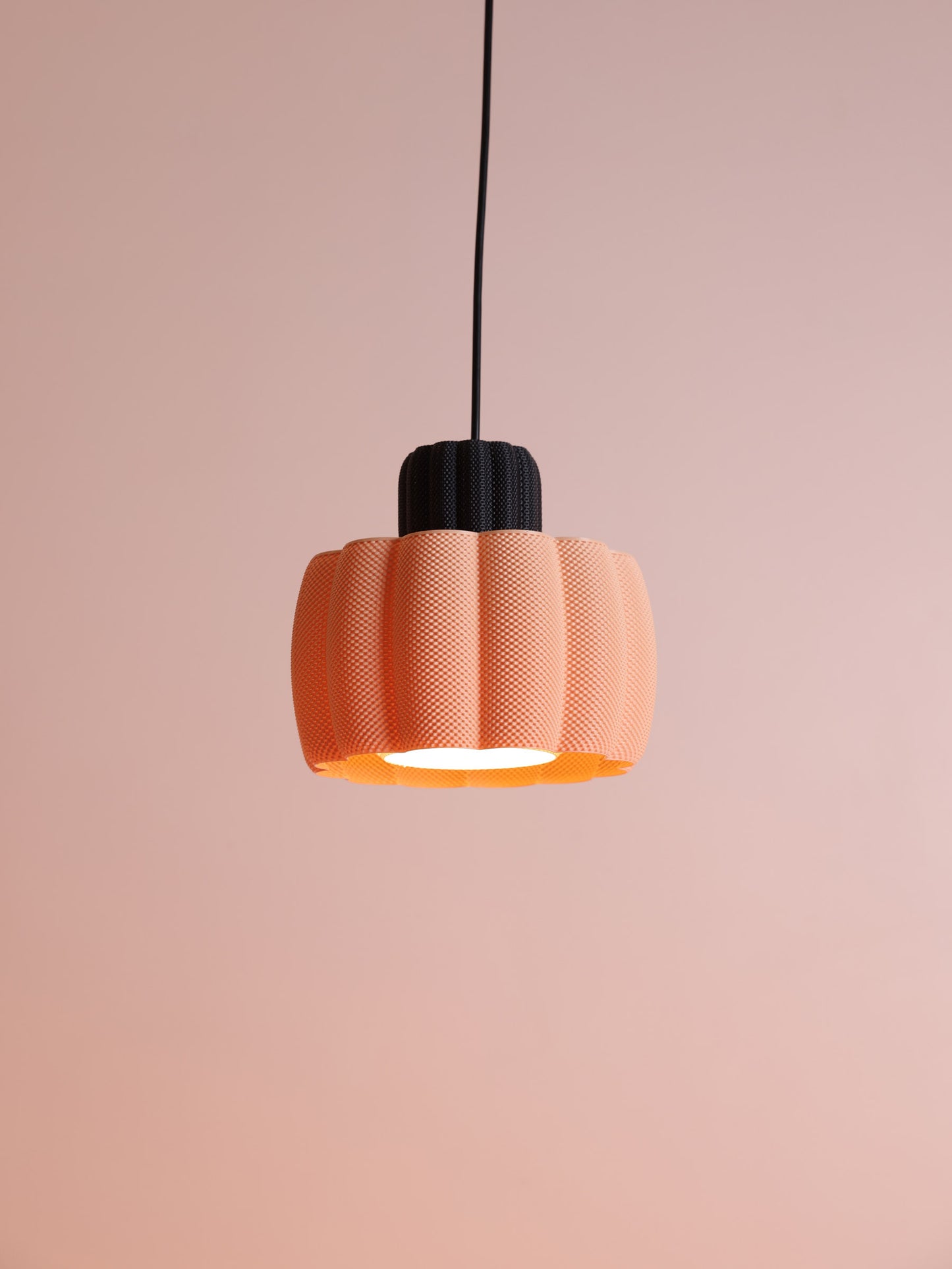 Ara Black/Apricot & White