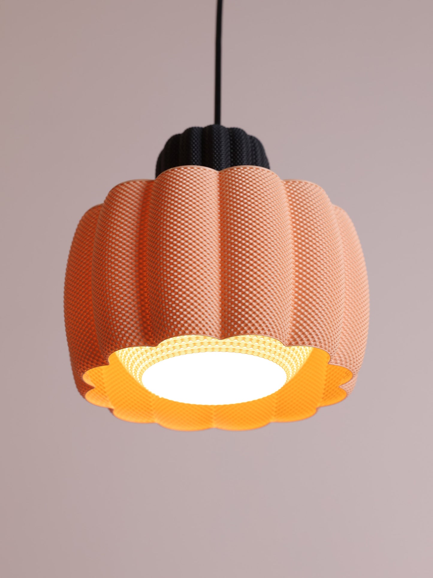Ara Black/Apricot & White