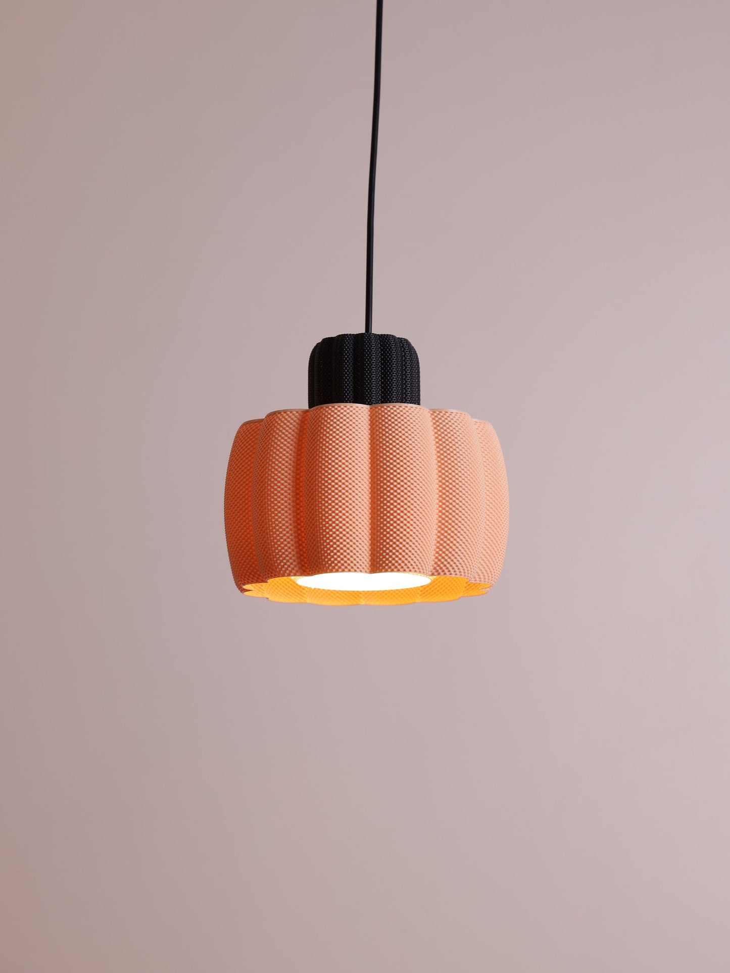Ara Black/Apricot & White
