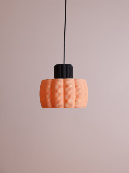 Ara Black/Apricot & White