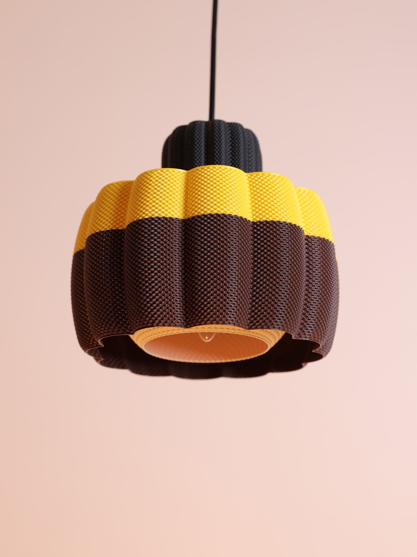 Ara Black/Yellow Dark & Brown Apricot