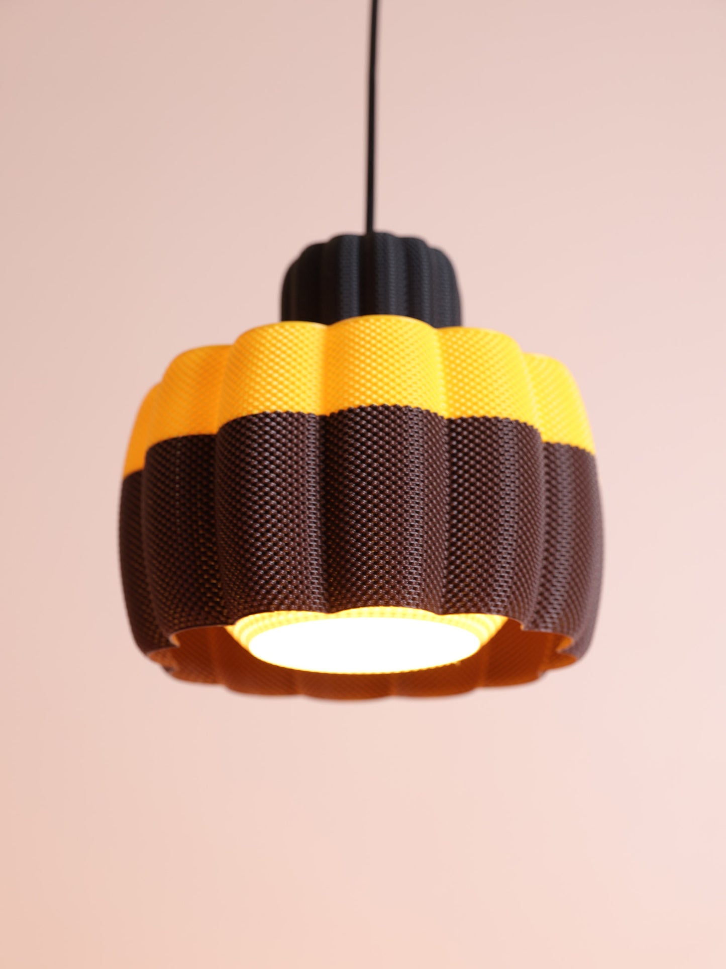 Ara Black/Yellow Dark & Brown Apricot
