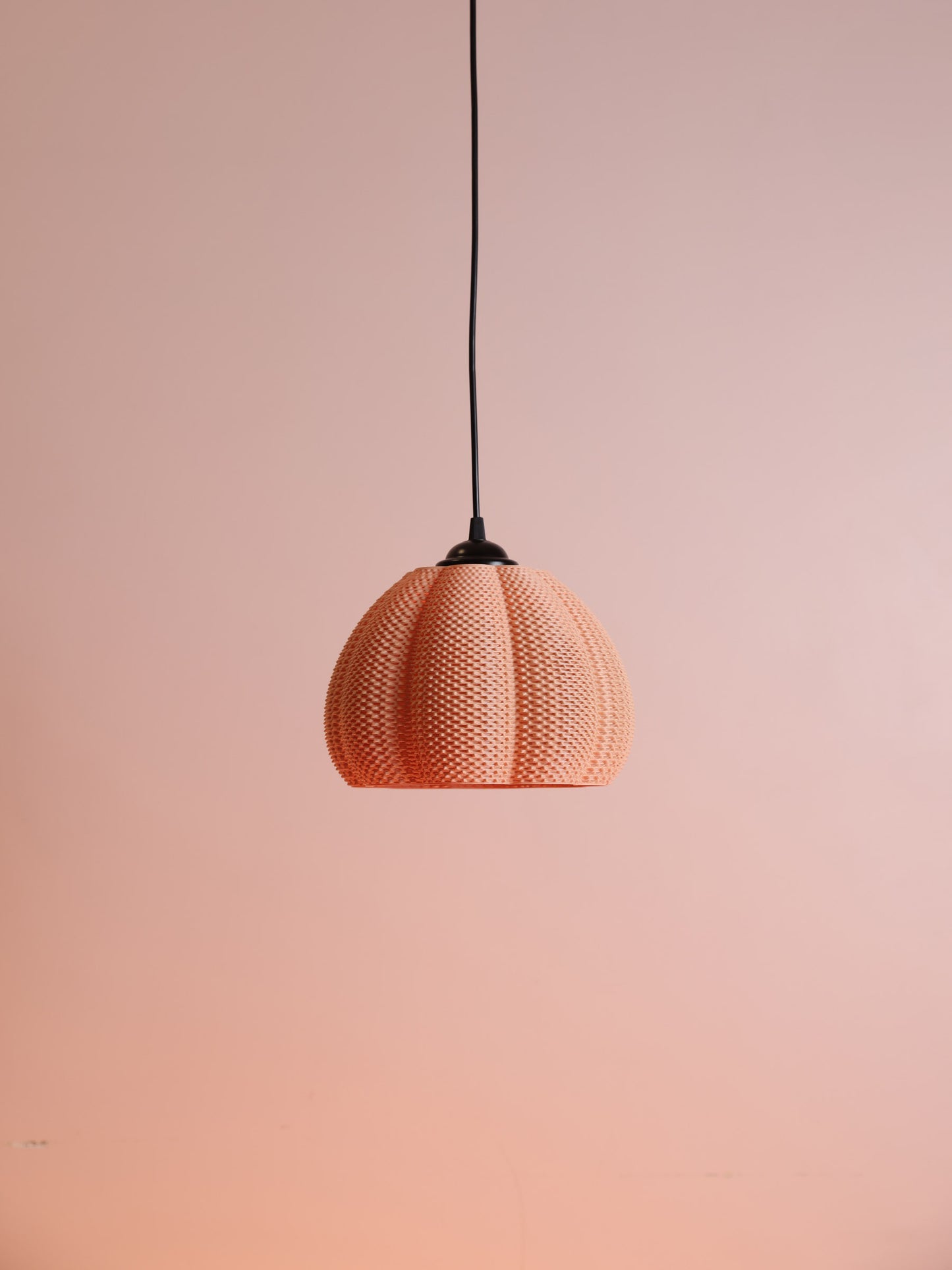 Marina Apricot