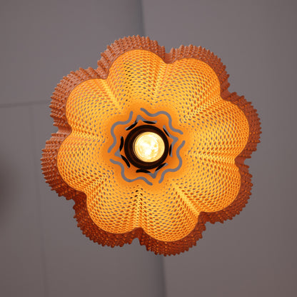 Marina Apricot